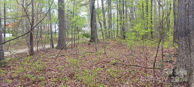 411 Shannon Loop, Denver, NC 28037