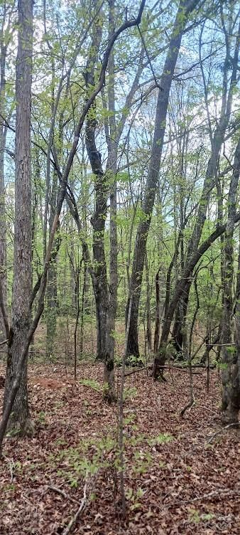 411 Shannon Loop, Denver, NC 28037
