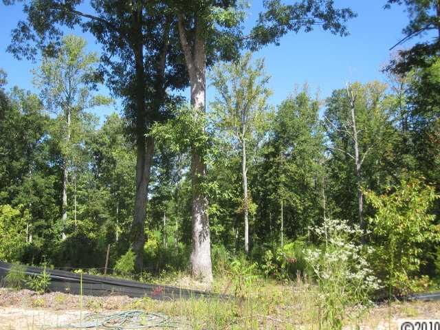 276 Palm Tree Cv, York, SC 29745
