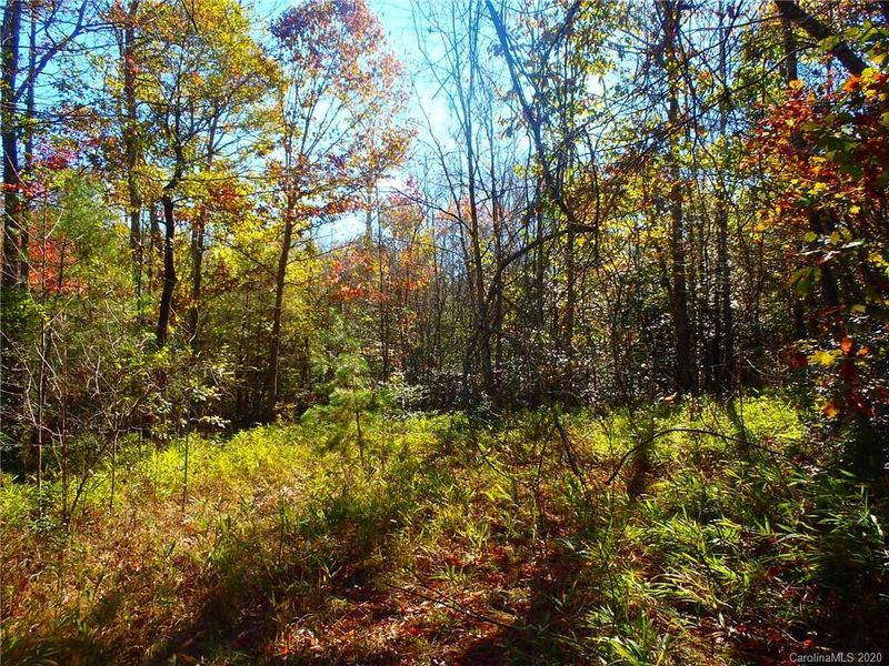 8836 Jacob Fork River Rd, Vale, NC 28168
