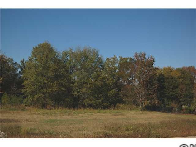 Lot 4 Hawkstone Dr, Waxhaw, NC 28173