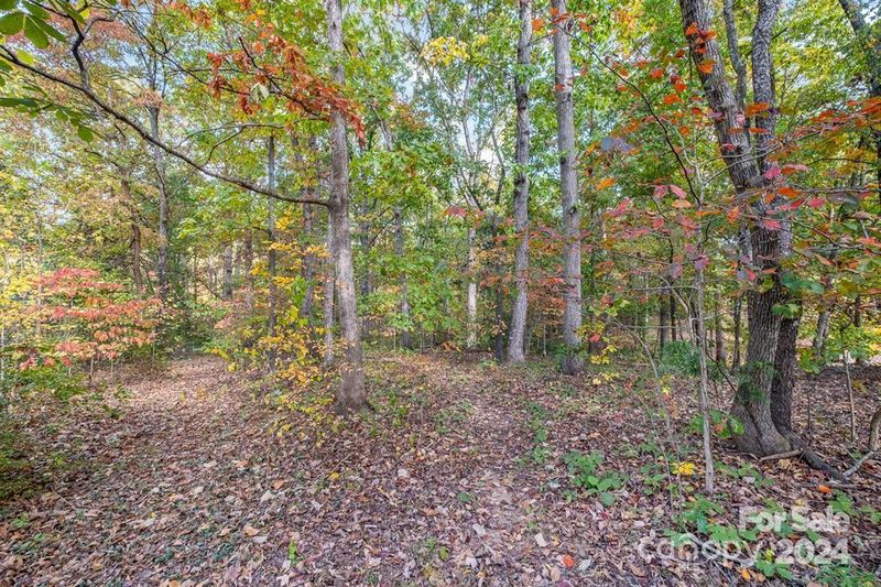 0000 Driftwood Rd, Lincolnton, NC 28092