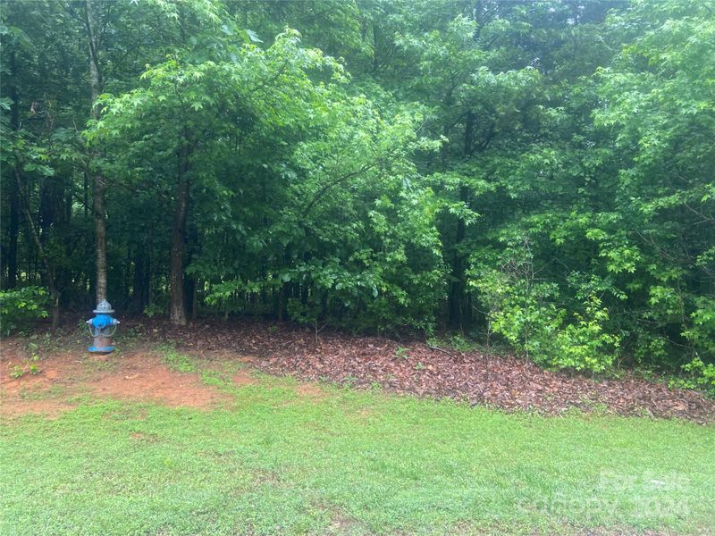 4453-B Side Mockingbird Ln, Maiden, NC 28650