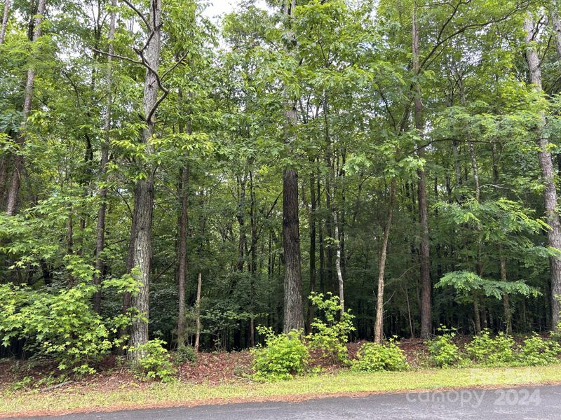 0 Ski Trail Ln, Waxhaw, NC 28173