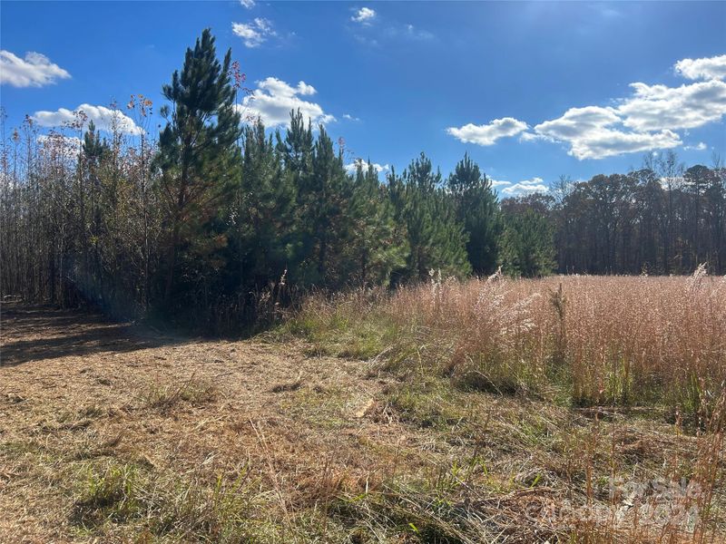 6711 Mcneely Rd, Waxhaw, NC 28173