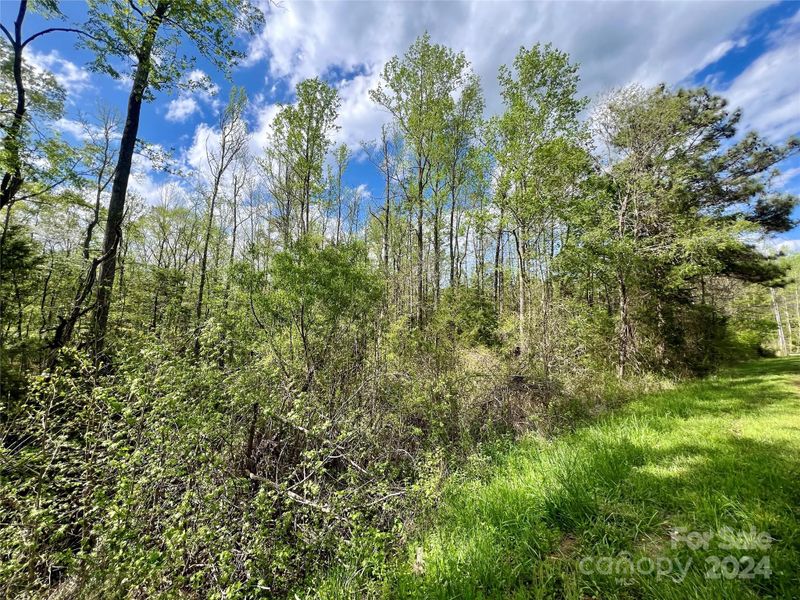 02 Pineview Court Ln #58, Lancaster, SC 29720