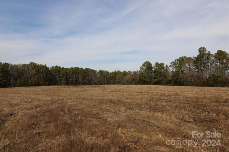 0 Quinn Rd, Chester, SC 29706