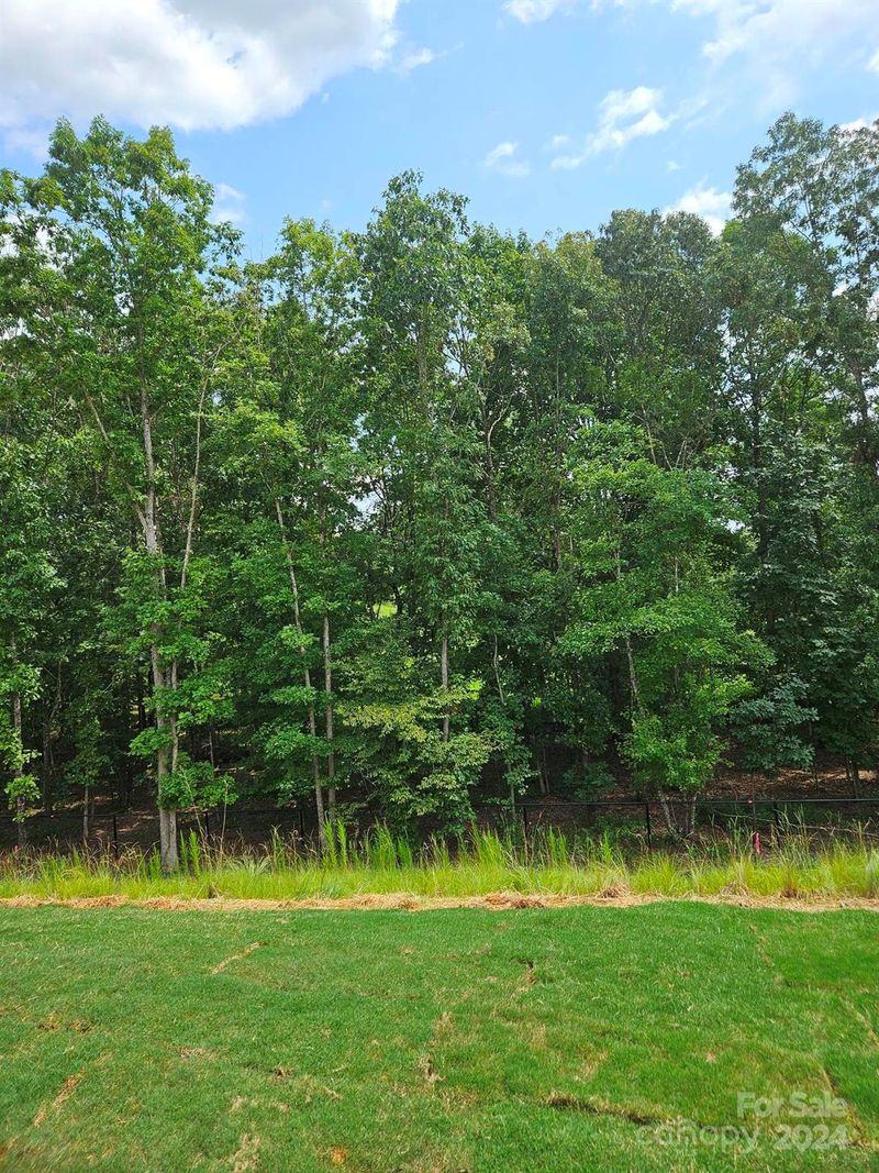 139 Brixham Loop, Troutman, NC 28166