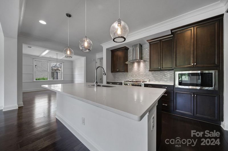 9111 Robbins Preserve Rd, Cornelius, NC 28031