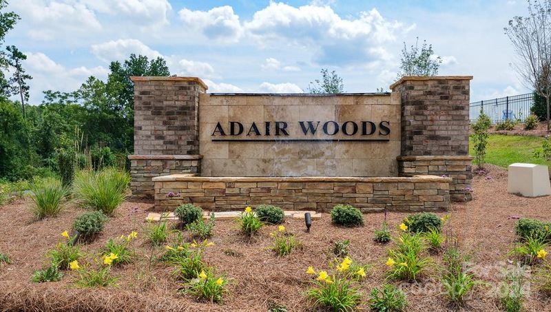 10991 Tuff Ln, Davidson, NC 28036