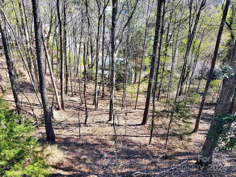 16088 Heron Run Dr, Tega Cay, SC 29708