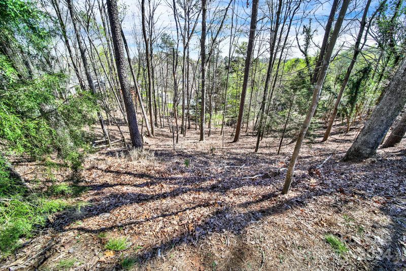 16088 Heron Run Dr, Tega Cay, SC 29708