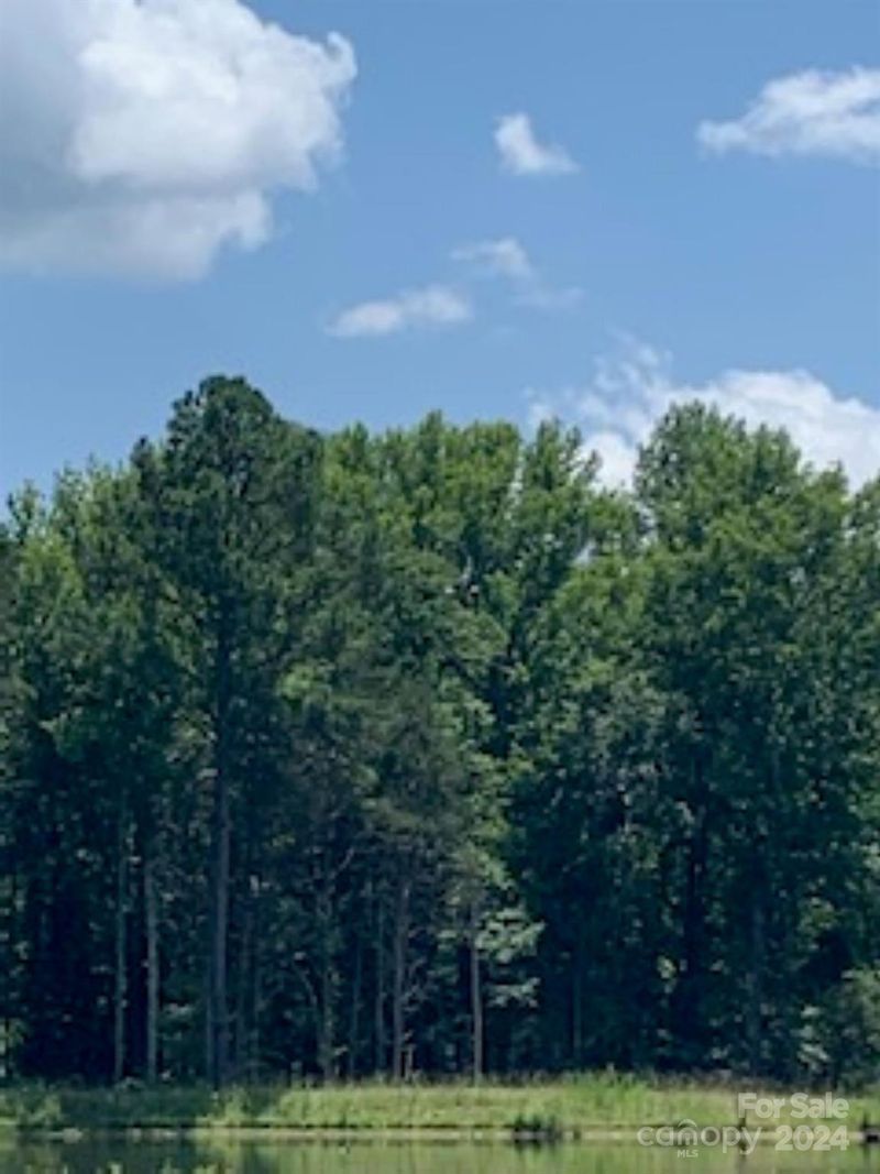2.36 acres Brooktree Ln, Rock Hill, SC 29730