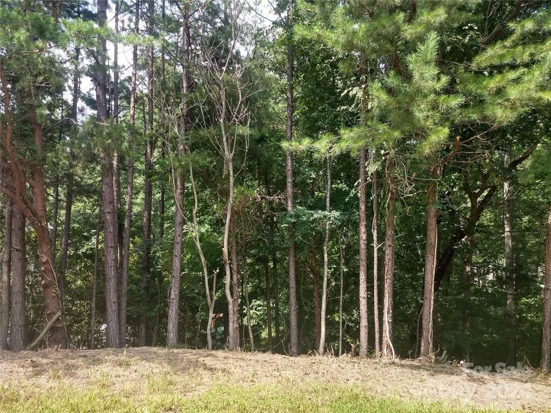 3004 Field Maple Ln, Charlotte, NC 28270