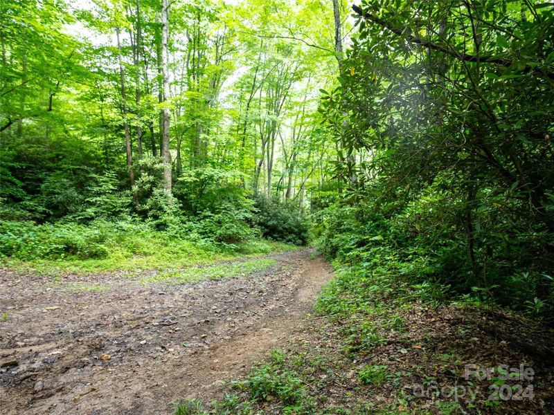00 Waterwheel Cv, Clyde, NC 28721