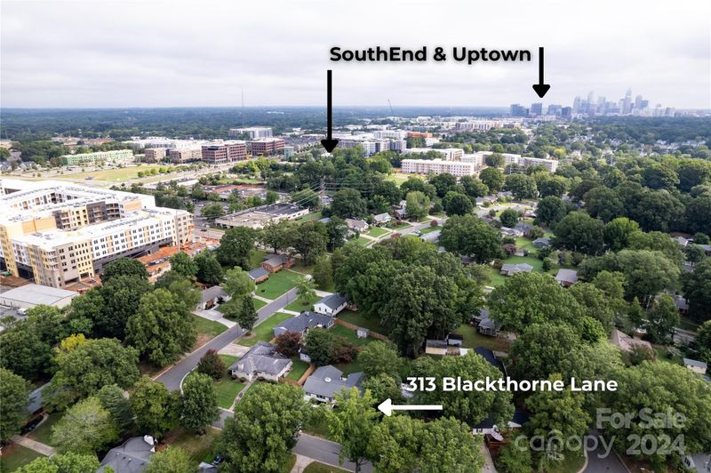313 Blackthorne Ln, Charlotte, NC 28209