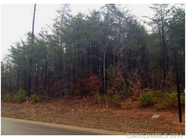 L34 James Plantation Dr, Denver, NC 28037