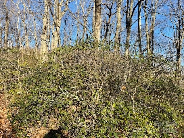 0 E Poplar Ln #25, Hendersonville, NC 28792