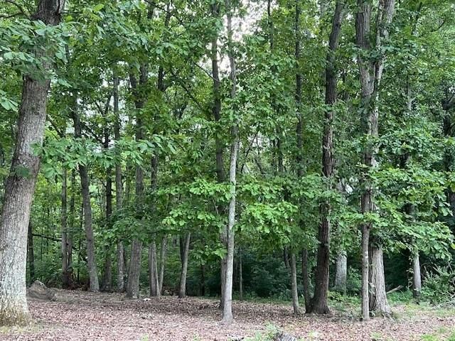 2042 Flat Rock Rd, York, SC 29745