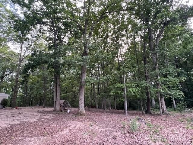 2042 Flat Rock Rd, York, SC 29745