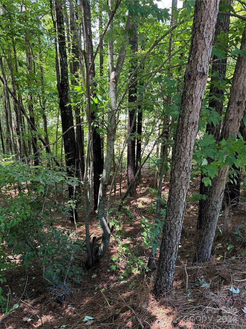 Lot 1 Maiden Salem Rd, Maiden, NC 28650