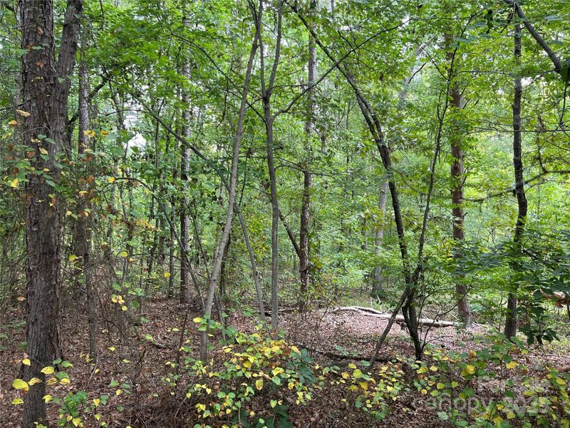 127 Tybeth Cir, Kannapolis, NC 28083