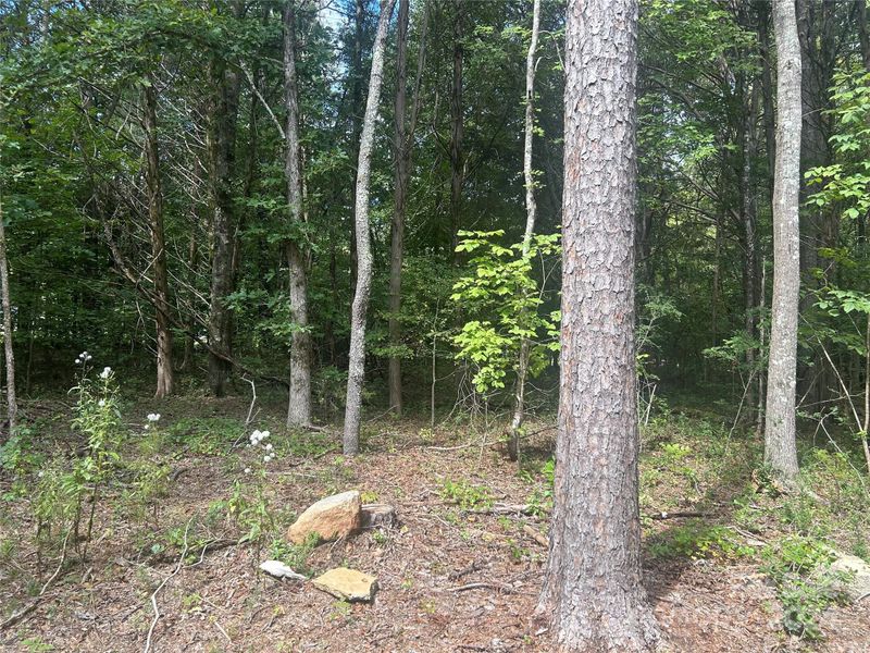 4754 Wylies Mill Rd, Edgemoor, SC 29712