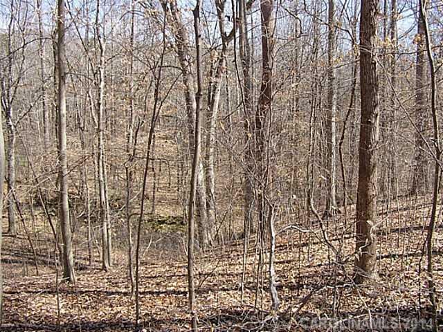 Lot 13 Strawberry Ct, Midland, NC 28107