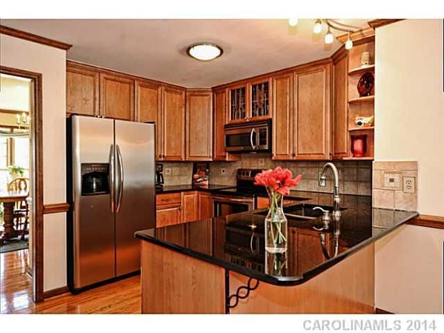 14421 Pommel Ln, Matthews, NC 28105