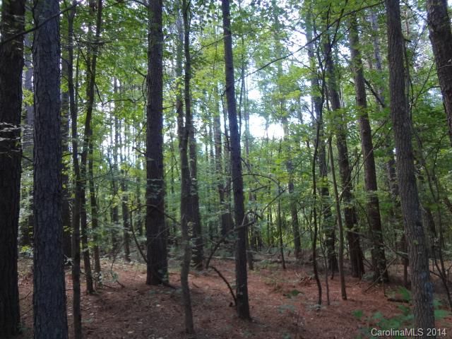 0 Long Island Rd, Catawba, NC 28609