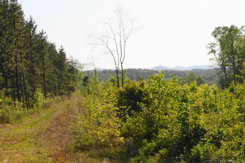 48.8ac Bassett Rd, Olin, NC 28660
