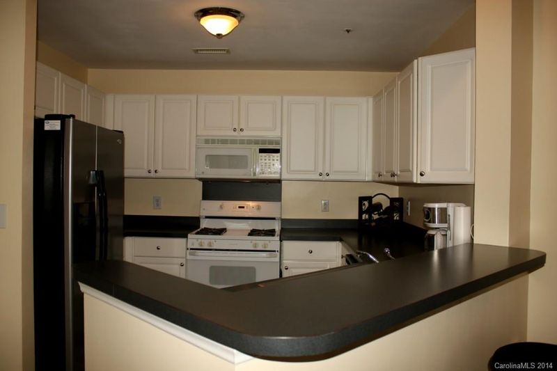 1118 Torrence Cir #1118, Davidson, NC 28036
