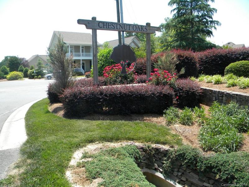 3037 Ivy Brook Pl, Matthews, NC 28104