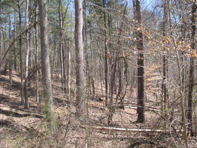 55 Ac Hardin Strait Rd, Chester, SC 29706