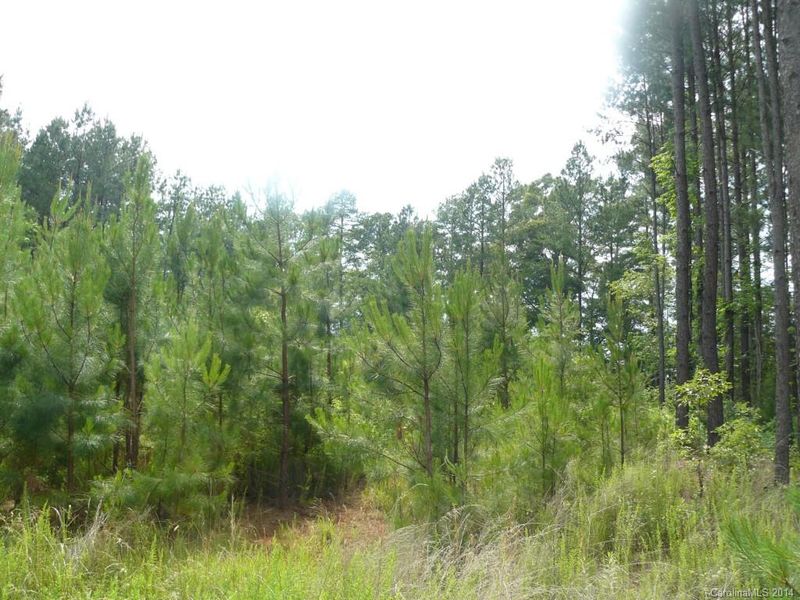 5 Outlook Dr, Iron Station, NC 28080