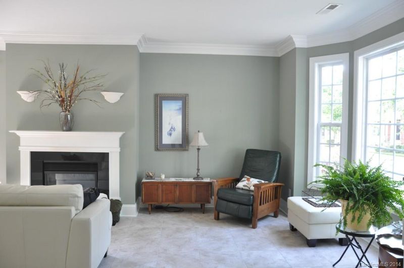159 Harper Lee St, Davidson, NC 28036