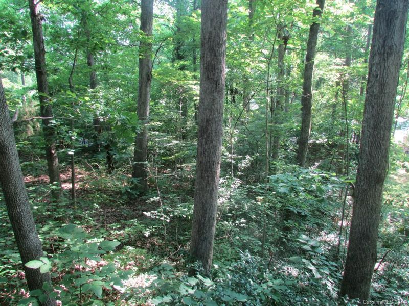 2801 Colony Rd #3, Charlotte, NC 28211