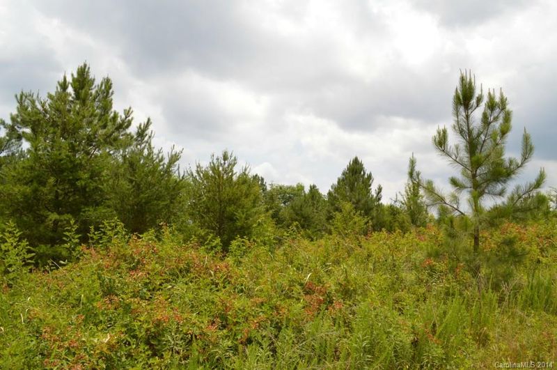 0 Jericho Ln #73,74, Lincolnton, NC 28092