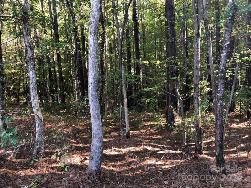 Lot 3 Rutan Ct #3, Mooresville, NC 28117