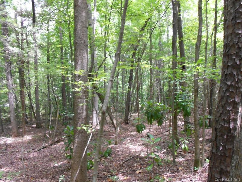 4 Spring St, Matthews, NC 28205