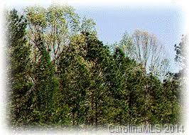 4231 Deal Rd, Claremont, NC 28610