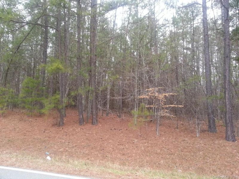 Lot 3 Blacksnake Rd, Stanley, NC 28164
