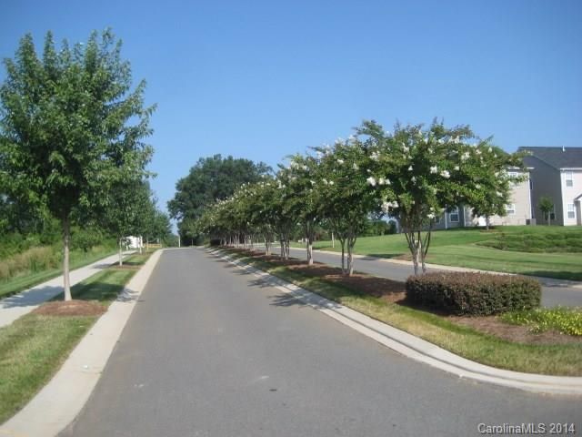 1905 Yellow Daisy Dr, Stallings, NC 28104