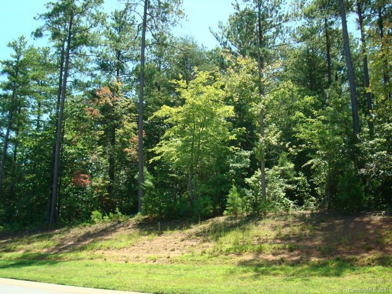 Lot 60 Butternut Ln, Denver, NC 28037