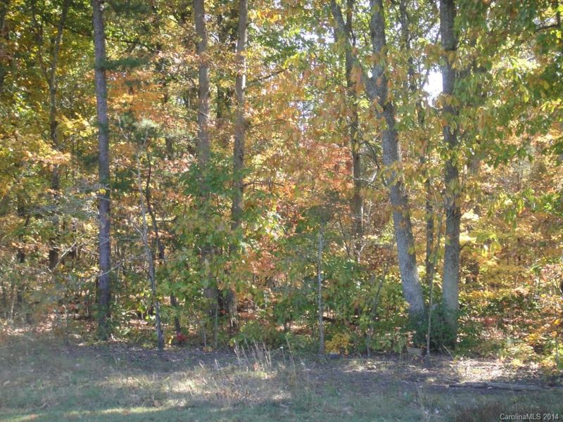 0 Hipp Rd, Iron Station, NC 28080