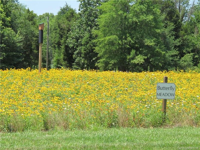 15834 Heath Aster Way #50, Davidson, NC 28036