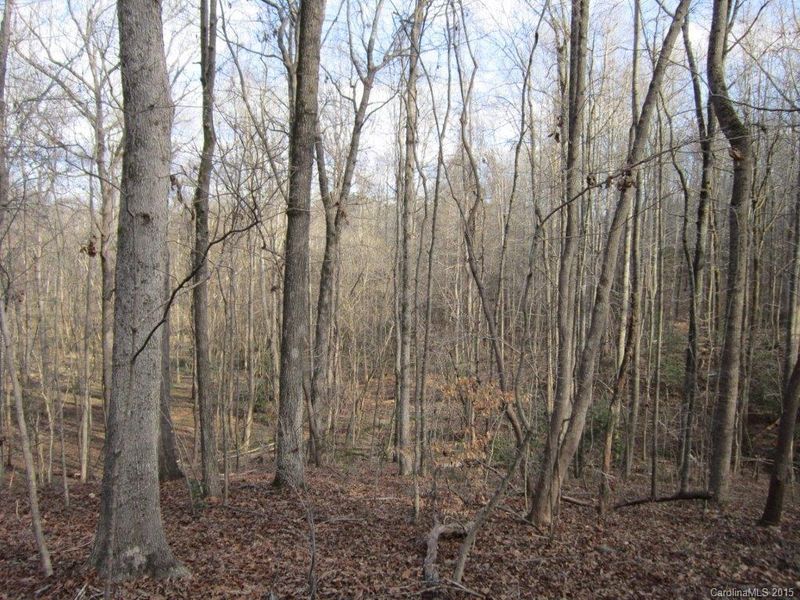 0 Landsford Rd, Catawba, SC 29704