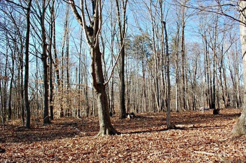 3.00 AC Carlyle Rd, Troutman, NC 28166