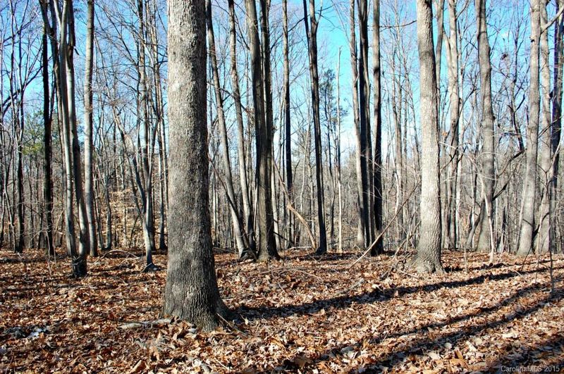 3.00 AC Carlyle Rd, Troutman, NC 28166
