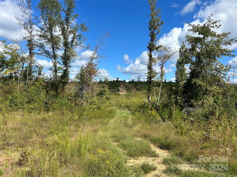 60 AC Shannon Rd, Blackstock, SC 29014